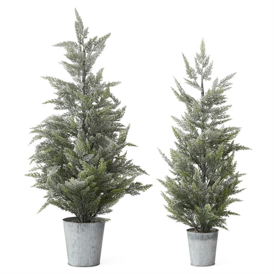 48" Flocked & Glittered Potted Tree