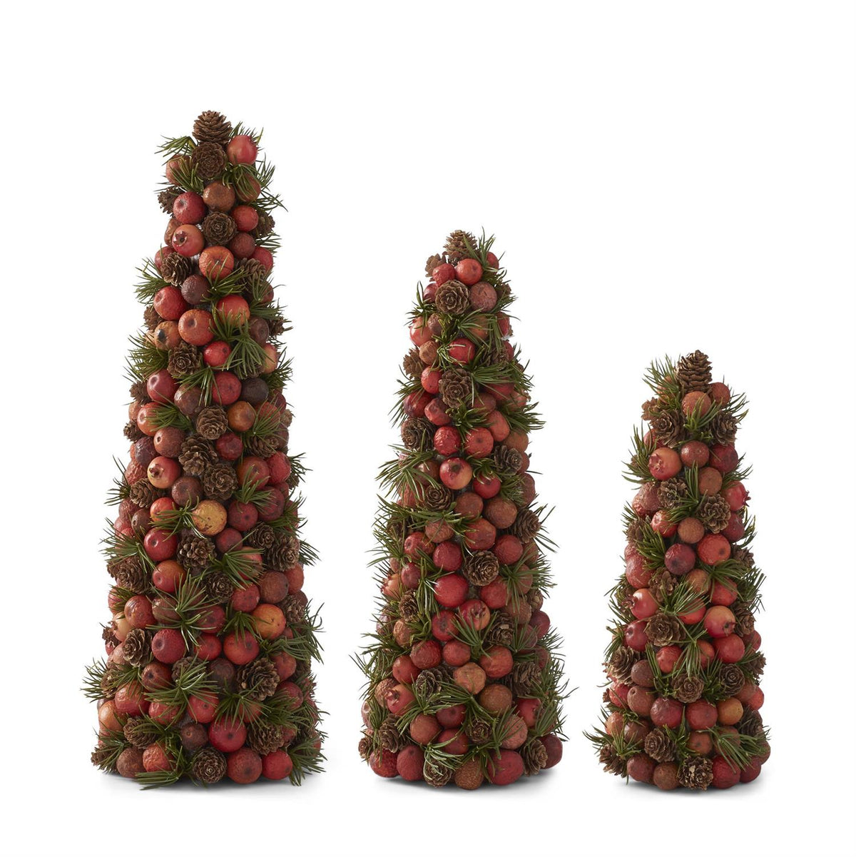 Orange Pods Pinecones Pine Cone Trees