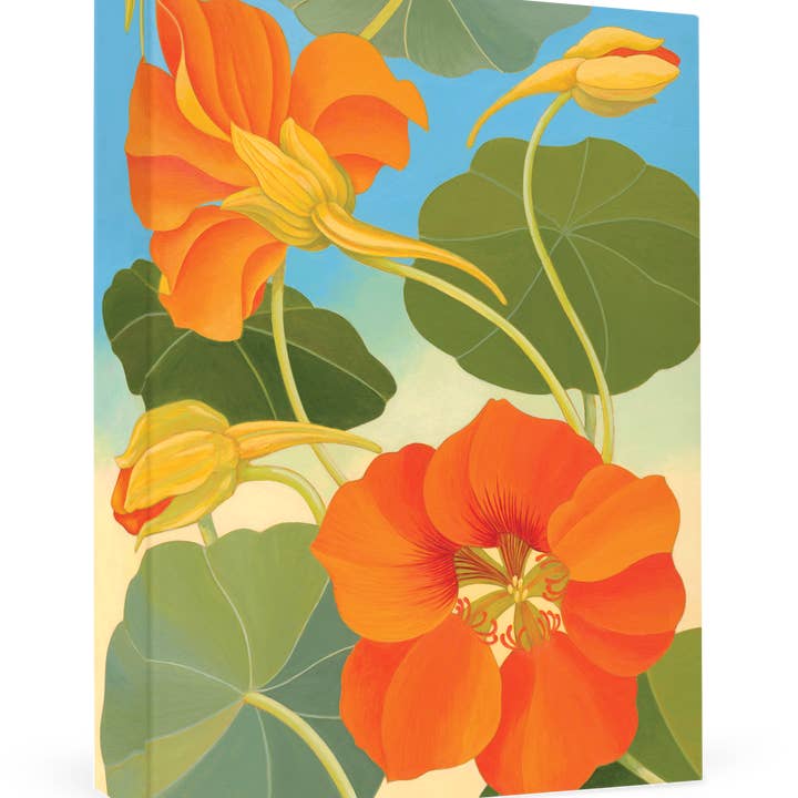 Siri Schillios: Nasturtium Boxed Thank You Notes