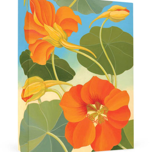 Siri Schillios: Nasturtium Boxed Thank You Notes