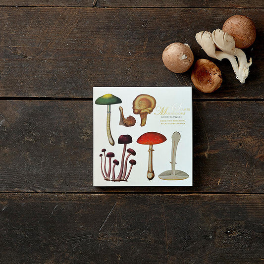 Square Card Folder- Mushroom Motifs