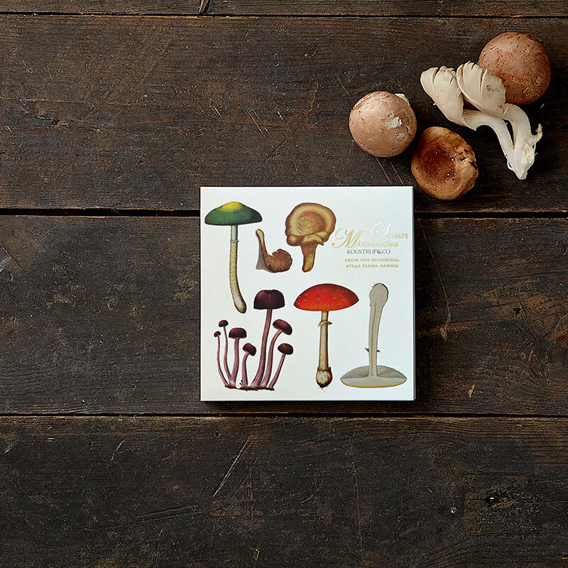 Square Card Folder- Mushroom Motifs