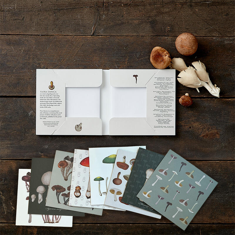 Square Card Folder- Mushroom Motifs
