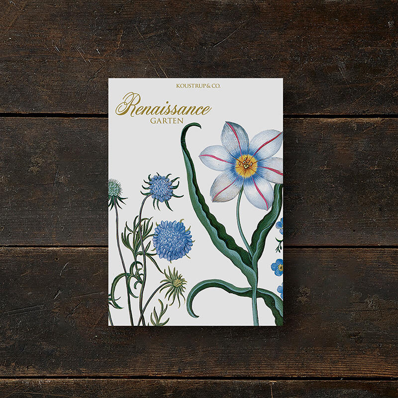 Card Folder- RENAISSANCEGARTEN - 8 cards w/Envelopes (german)