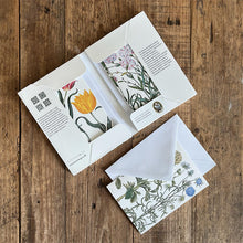 Load image into Gallery viewer, Card Folder- RENAISSANCEGARTEN - 8 cards w/Envelopes (german)
