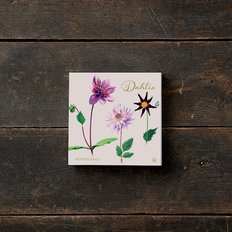 Square Card Folder- Dahlia's