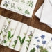 Square Card Folder- Spring Forest Design w/ 8 Cards & Envelopes