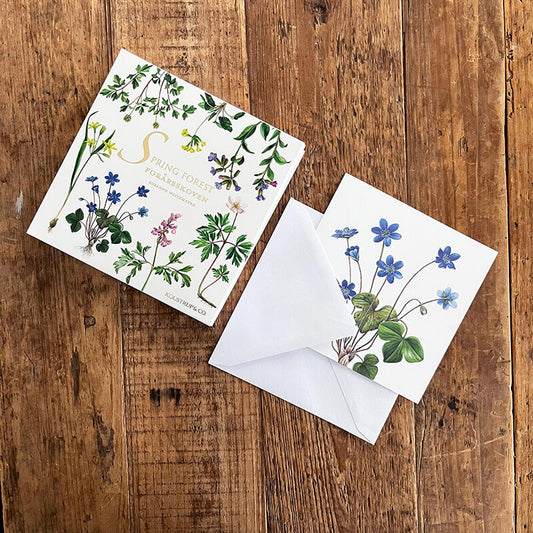 Square Card Folder- Spring Forest Design w/ 8 Cards & Envelopes