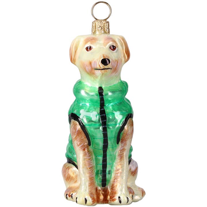 Yellow Lab in Puffer Coat