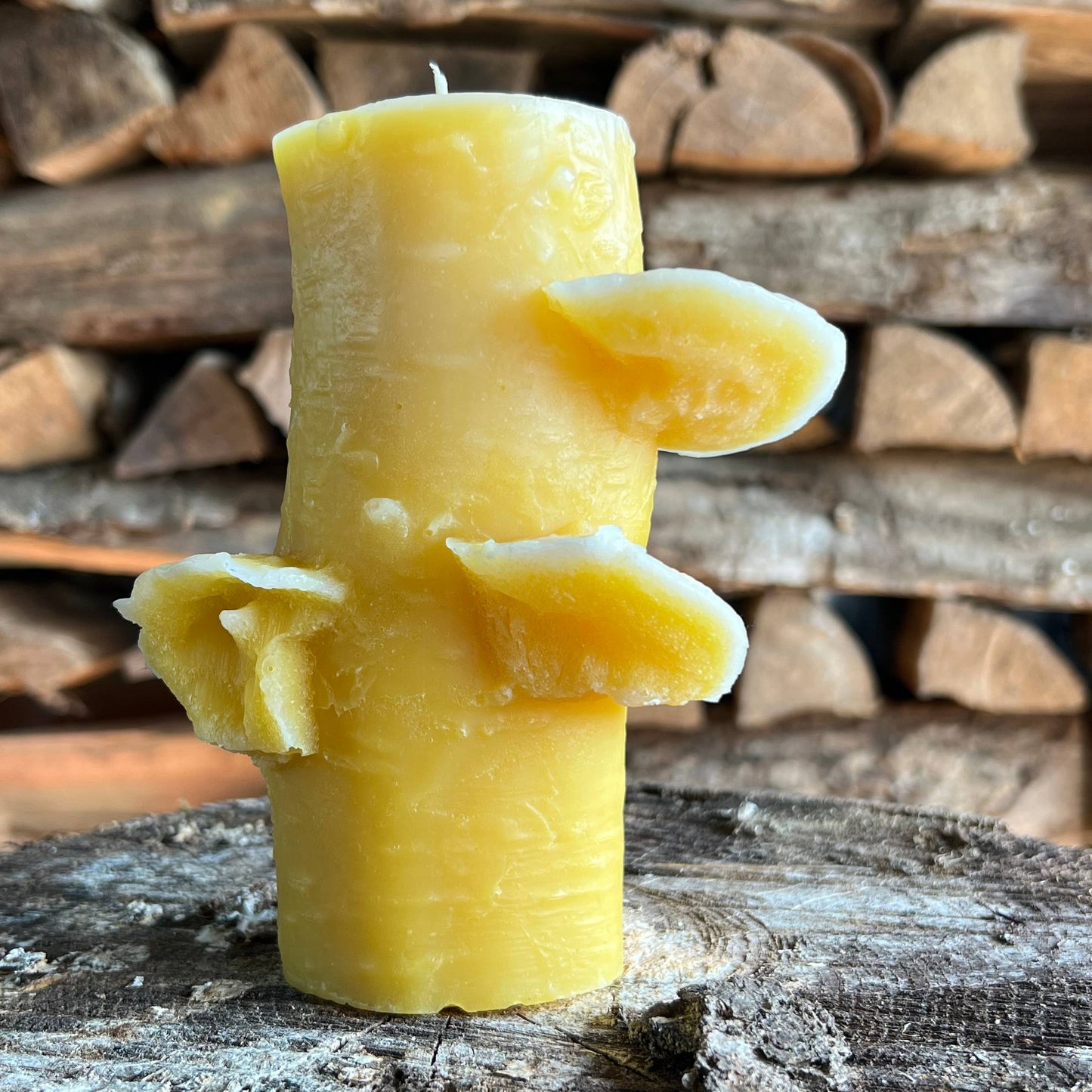 72 hr Birch Pillar: Keepers Wax