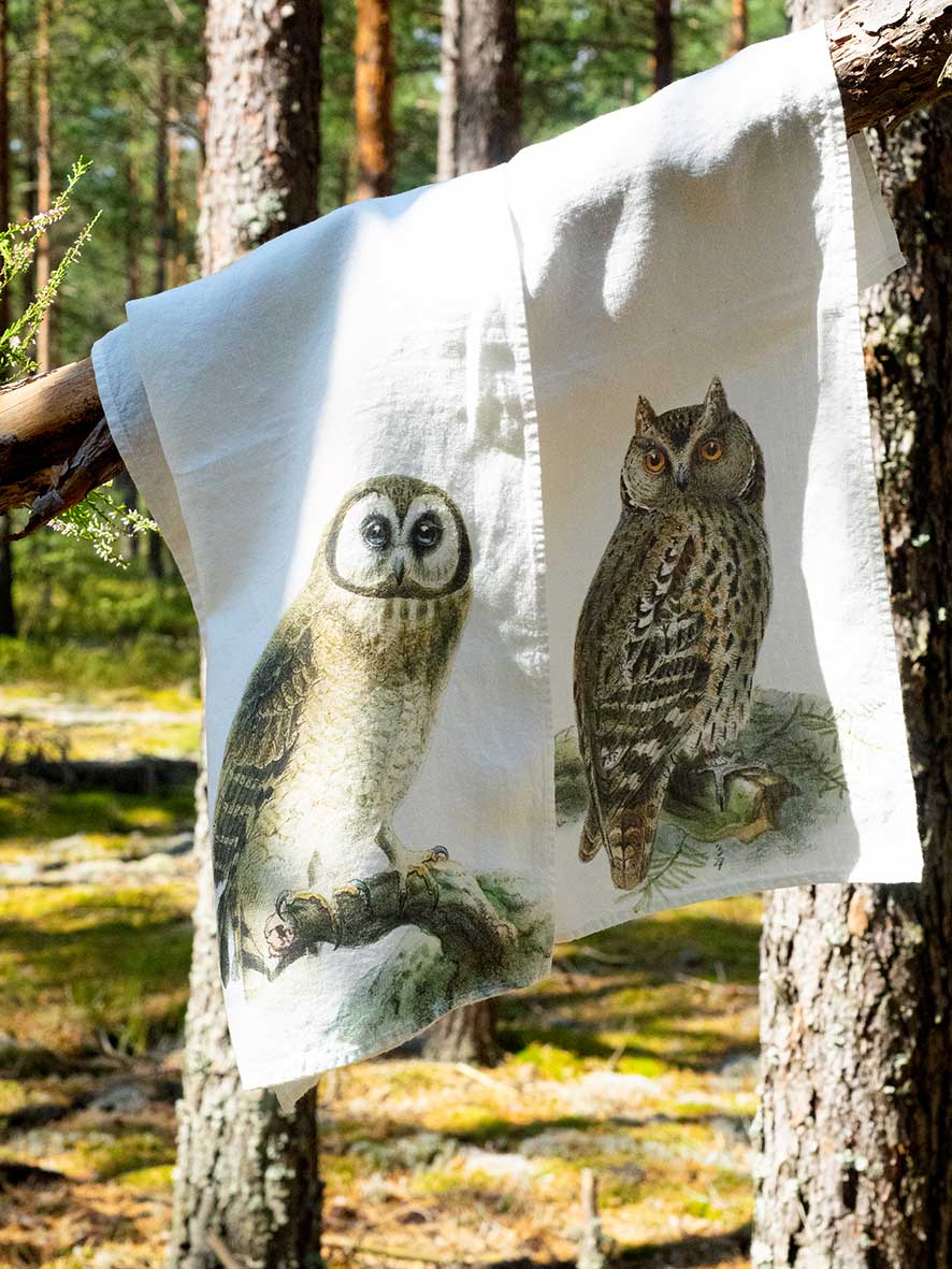18x27 Barn Owl Linen Kitchen Towel