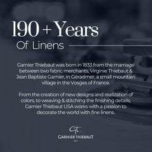 Load image into Gallery viewer, 20“x 28” Ours De Noel Sapin Kitchen Towel
