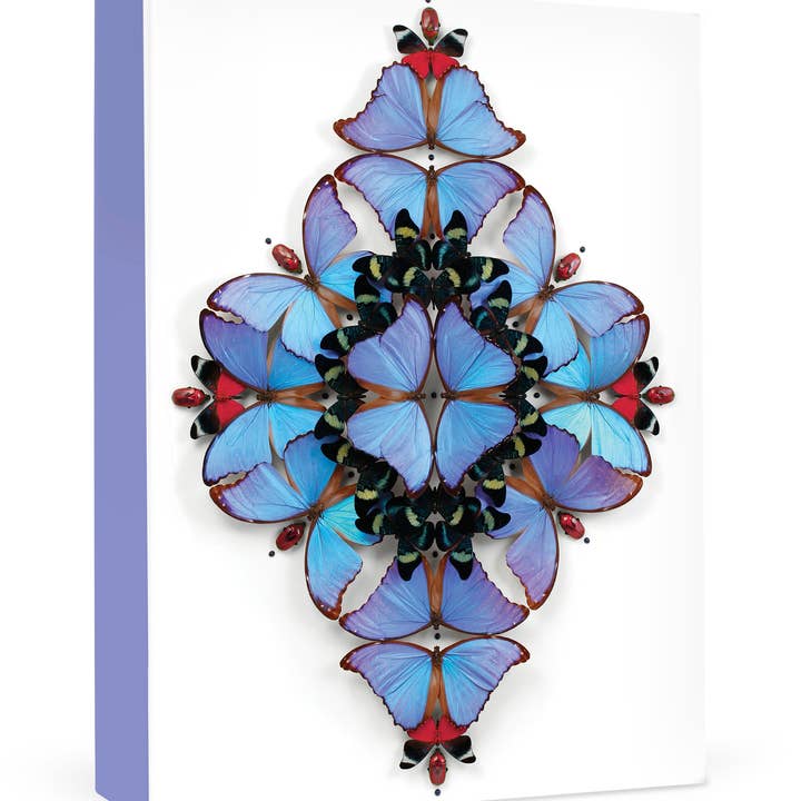 Christopher Marley: Sinfonietta Small Boxed Cards