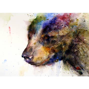 Black Bear 5X7 Greeting Card