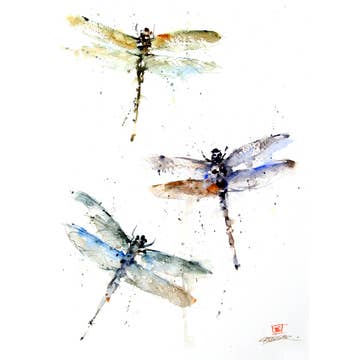 Dragonflies 5x7 Greeting Card