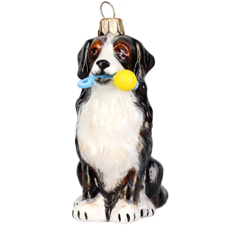 Bernese Mt Dog with Chew Toy Ornament