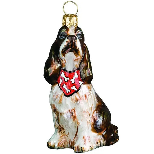 Springer Spaniel Sitting Liver & White with Bandana Ornamant