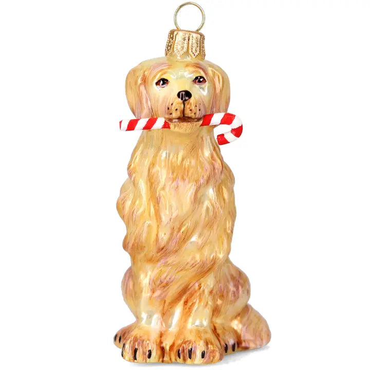 Golden Retriever with Candy Cane Ornament