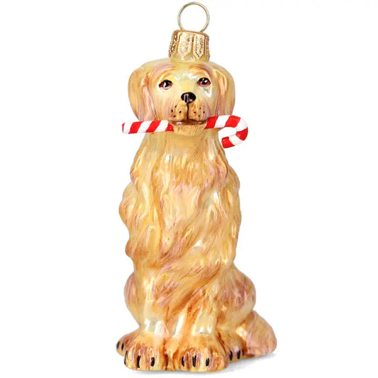 Golden Retriever with Candy Cane Ornament
