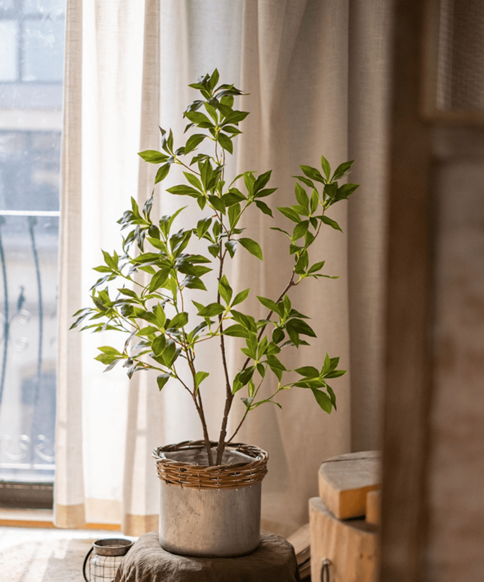 Artificial Japanese Enkianthus Tree, MED