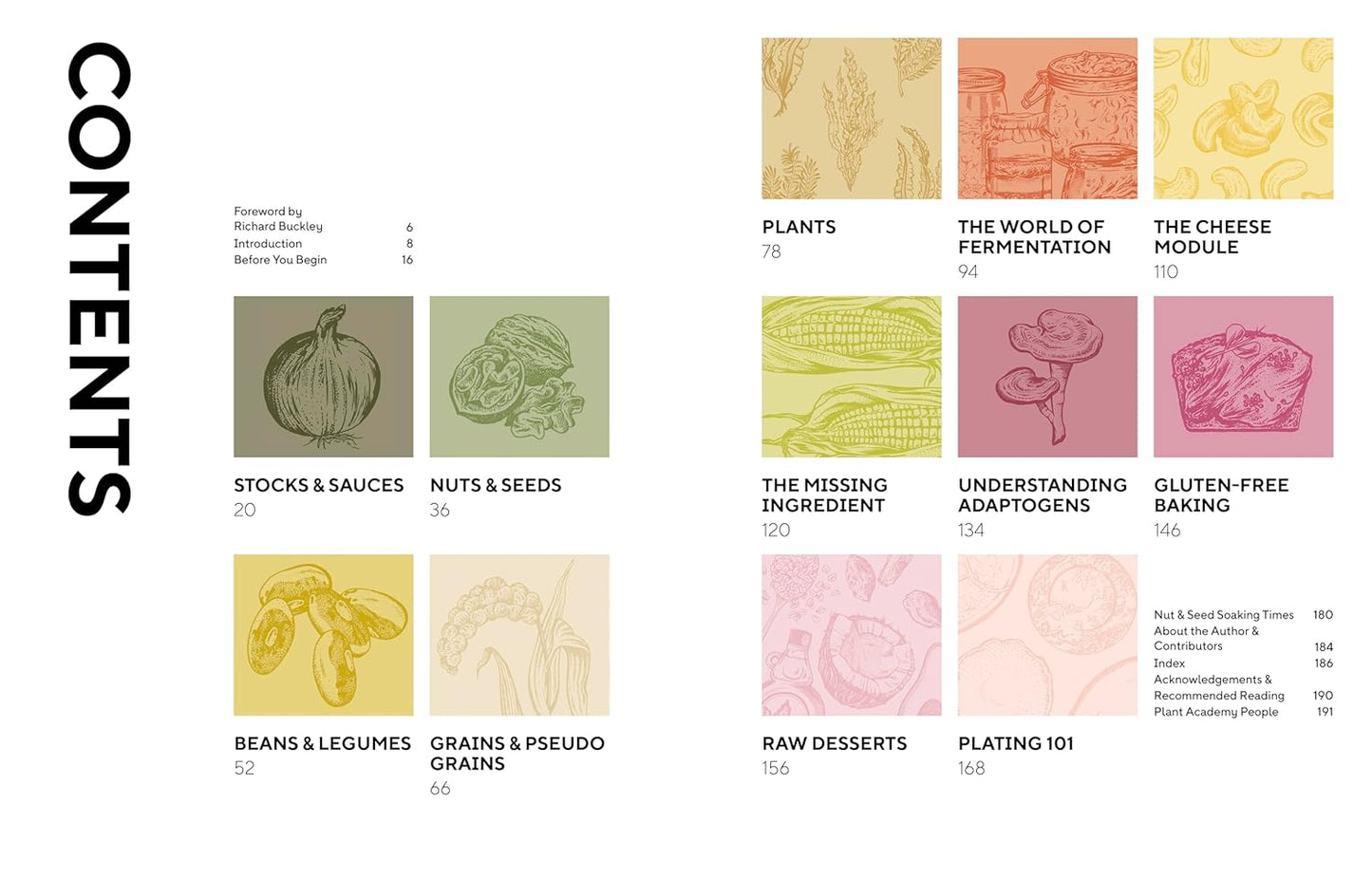 Plant Academy: The Cookbook: Plant-based techniques & recipes for creative cooking