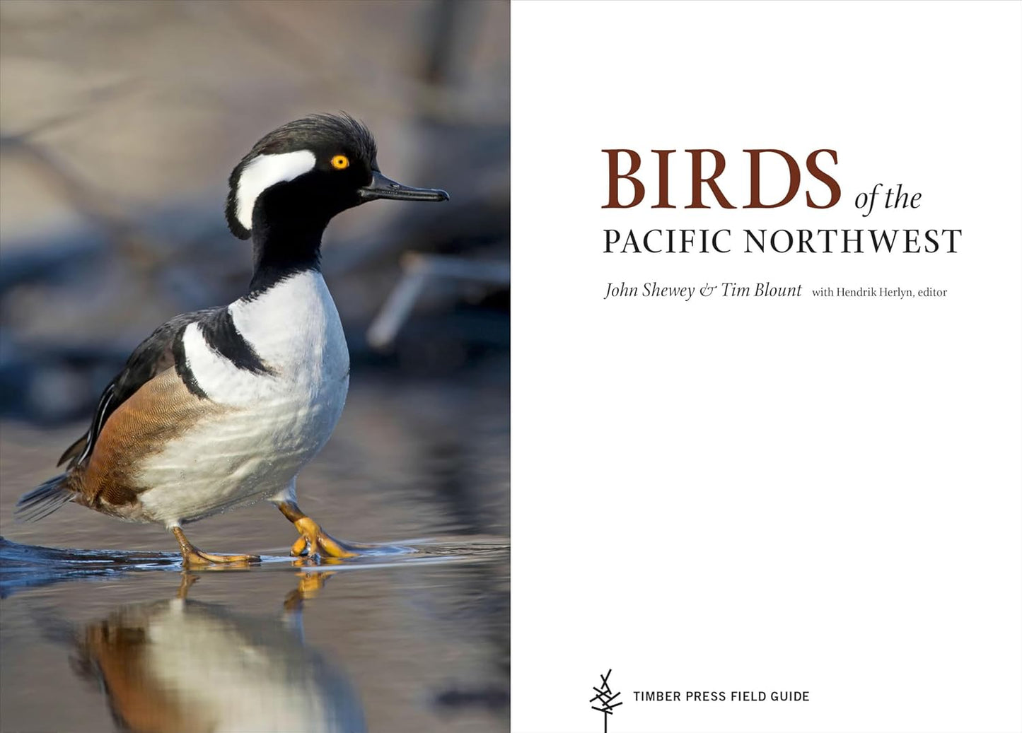 Birds of the Pacific NW