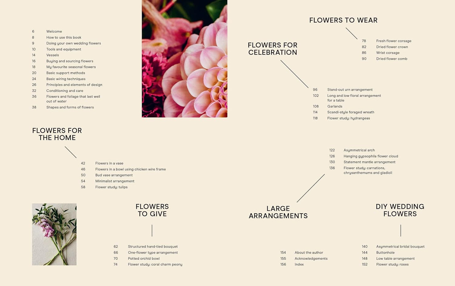 Floral Evolution
