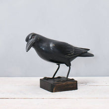 Load image into Gallery viewer, 9&quot; Crow
