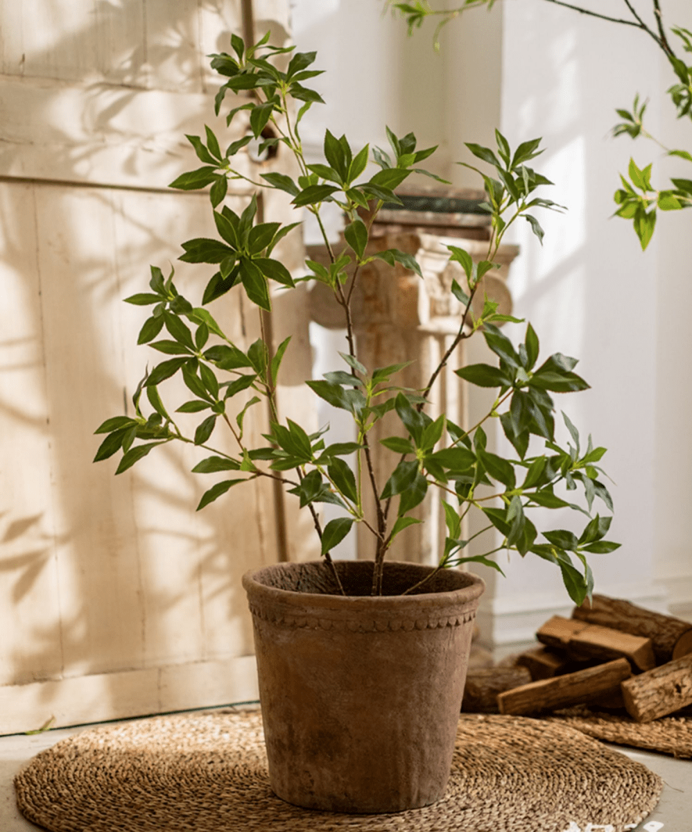 Artificial Japanese Enkianthus Tree, MED
