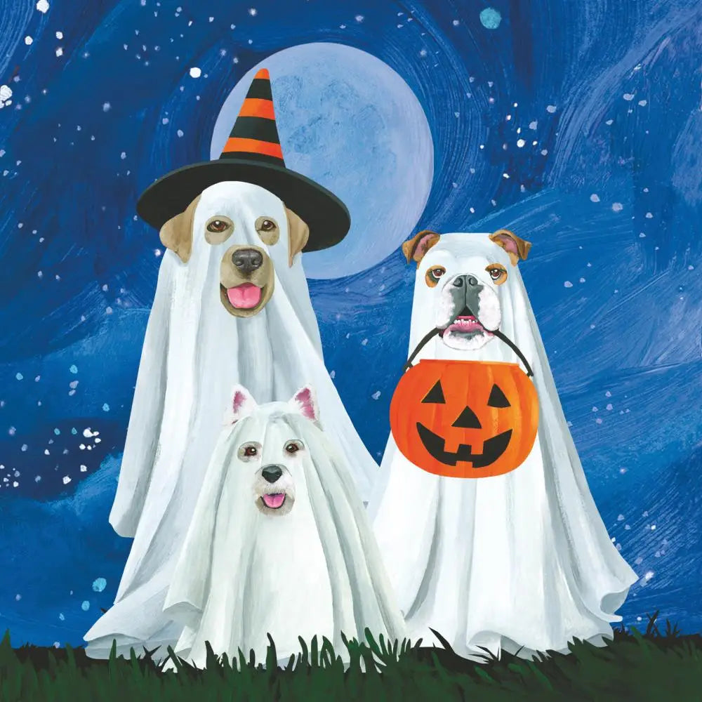 Bev- Trick'r Dog Treat
