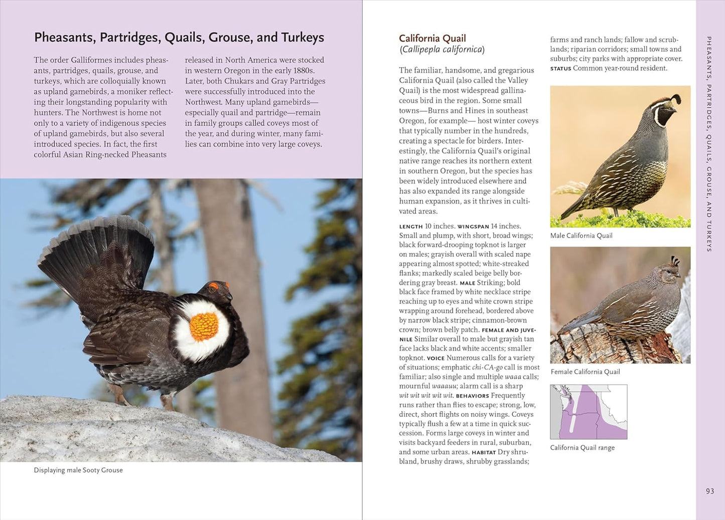 Birds of the Pacific NW