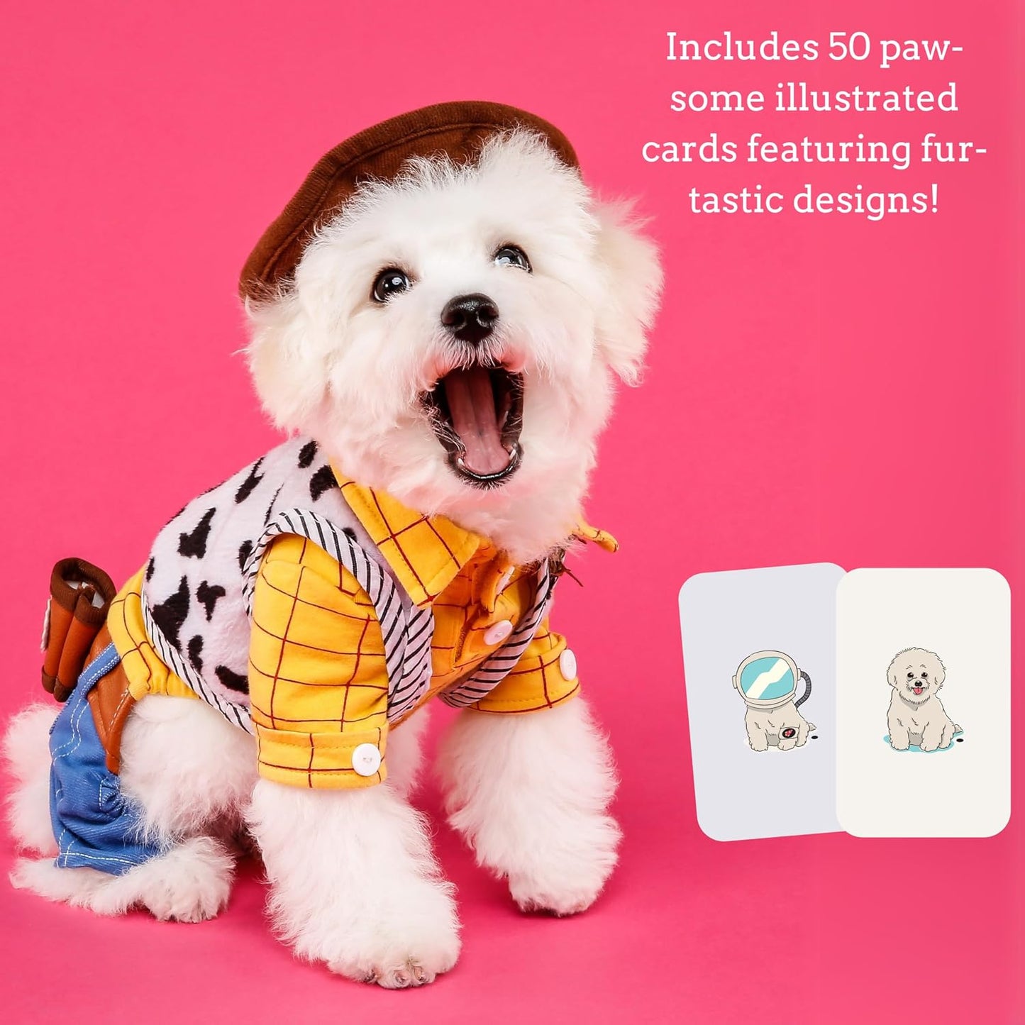 Ridley’s Dressed Up Dogs Memory Game