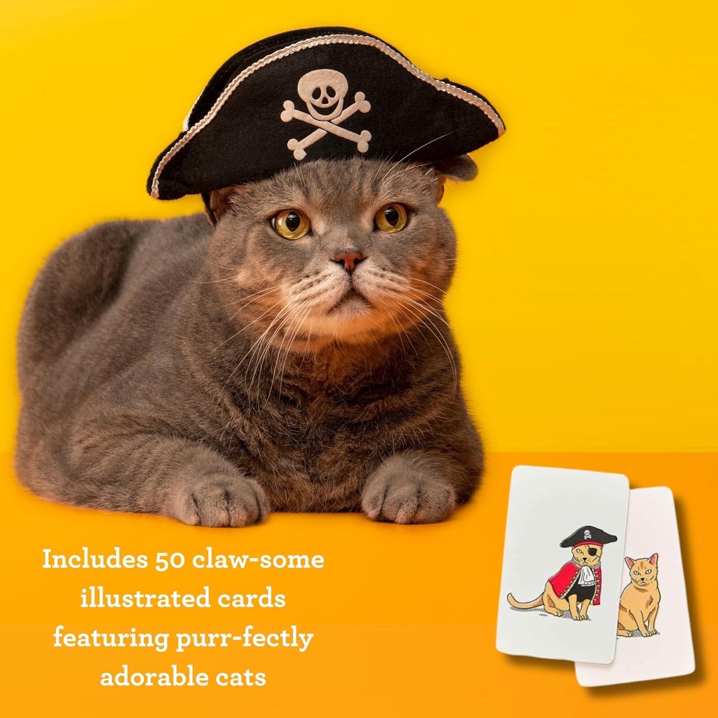 Ridley’s Costume Cats Memory Game