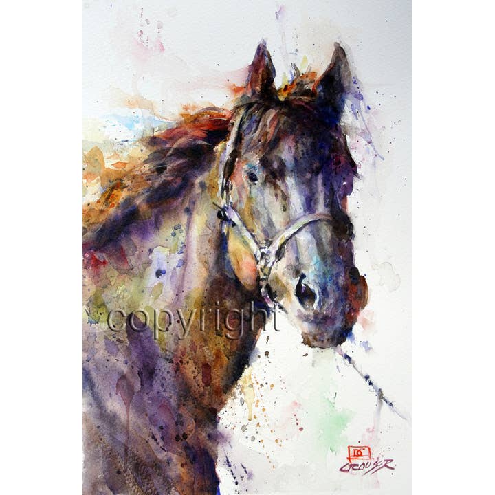 Pancho 5x7 Greeting Card