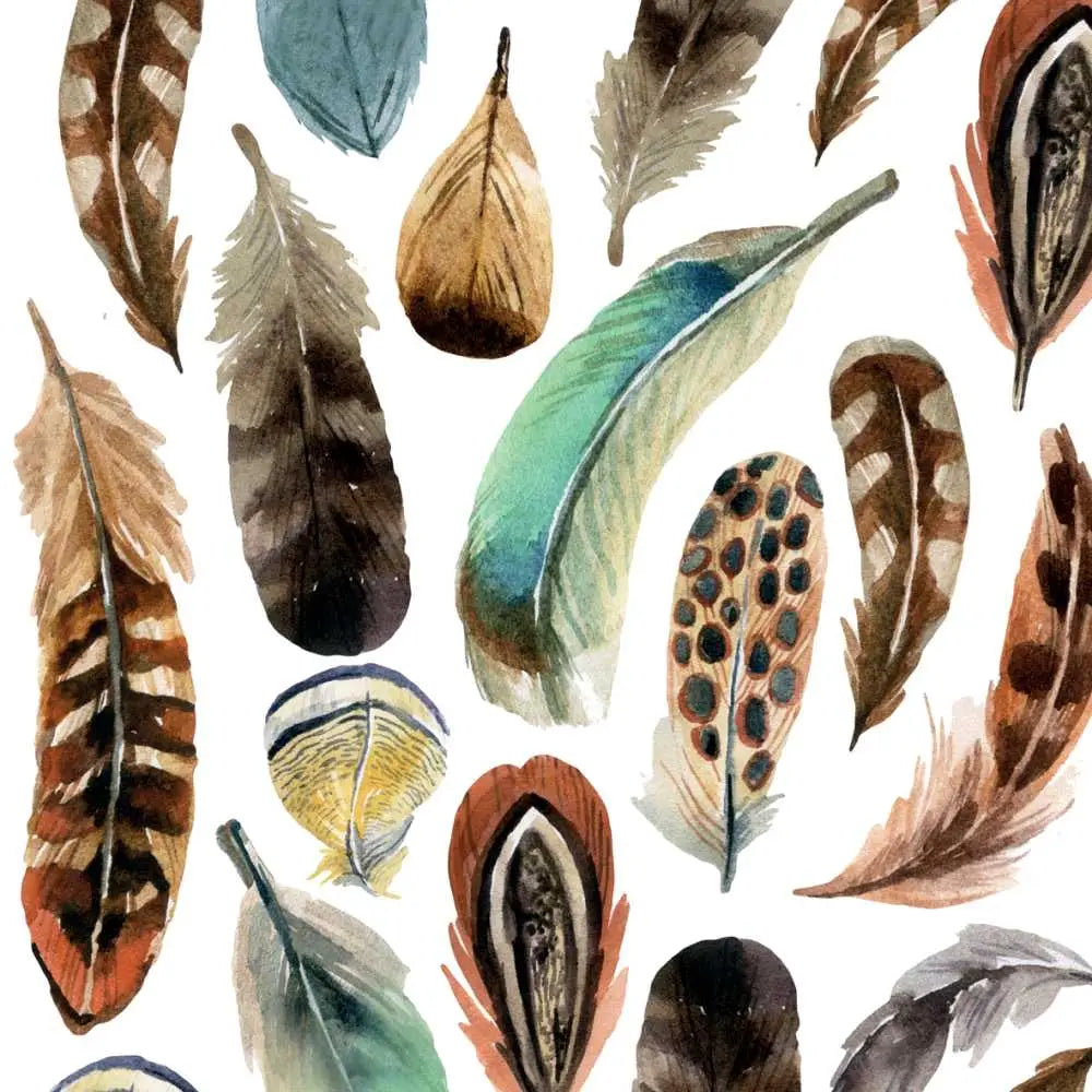 Bev- Aquarell Feathers