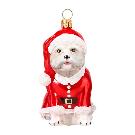 West Highland Terrier in Santa Suit