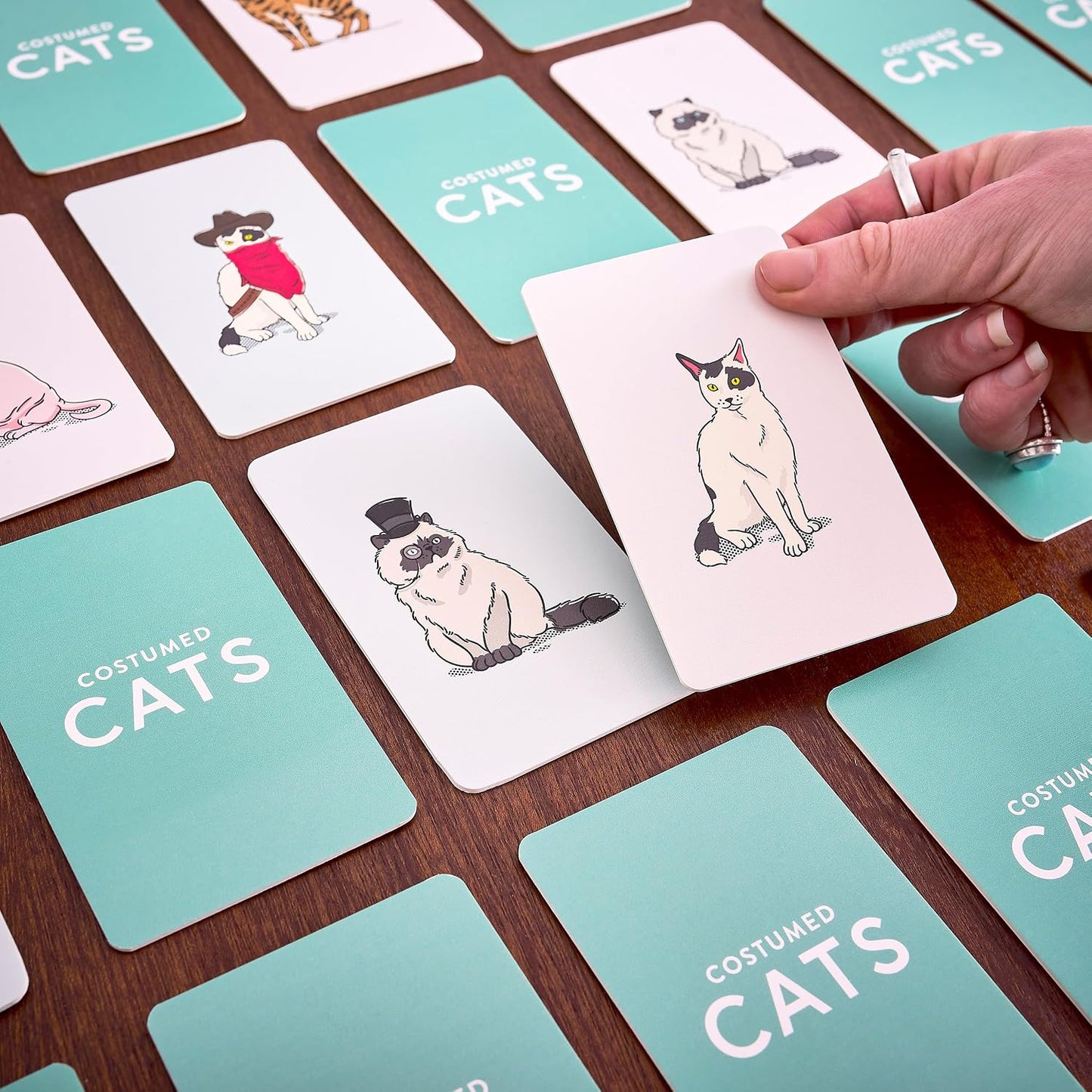 Ridley’s Costume Cats Memory Game