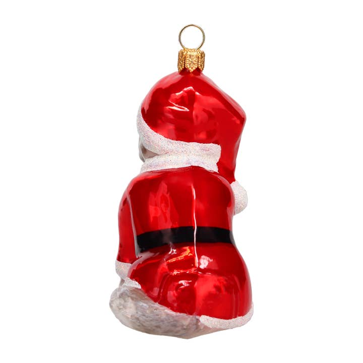 West Highland Terrier in Santa Suit