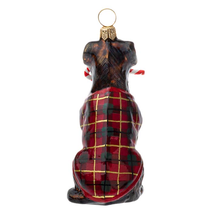 Chocolate Lab w- Candy Cane & Tartan Plaid Coat