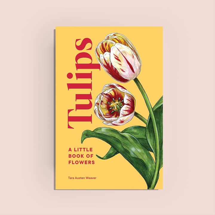 Tulips: A Little Bbook of Flowers