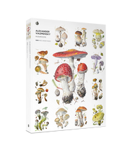 Load image into Gallery viewer, 1000 pc. Puzzle
