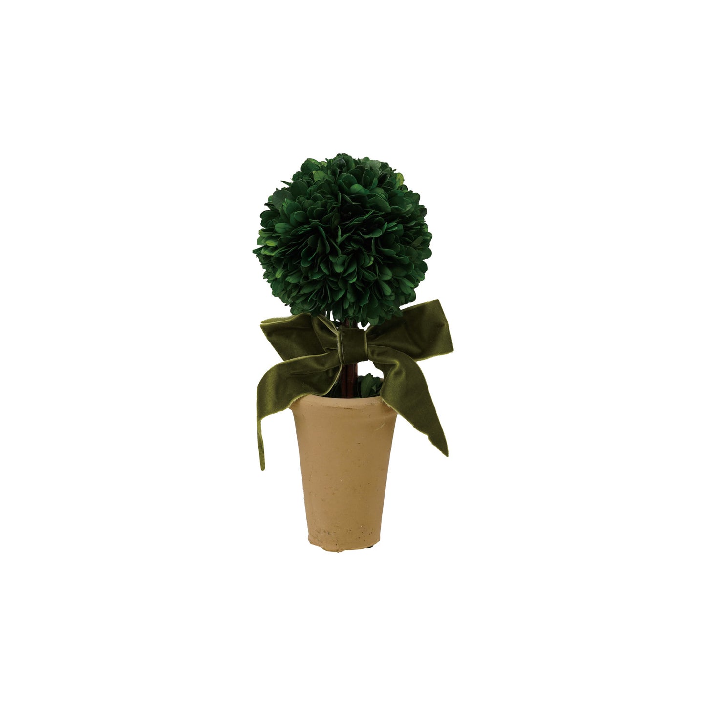 Boxwood Tree in Terra Cotta Pot w- Green Velvet Ribbon