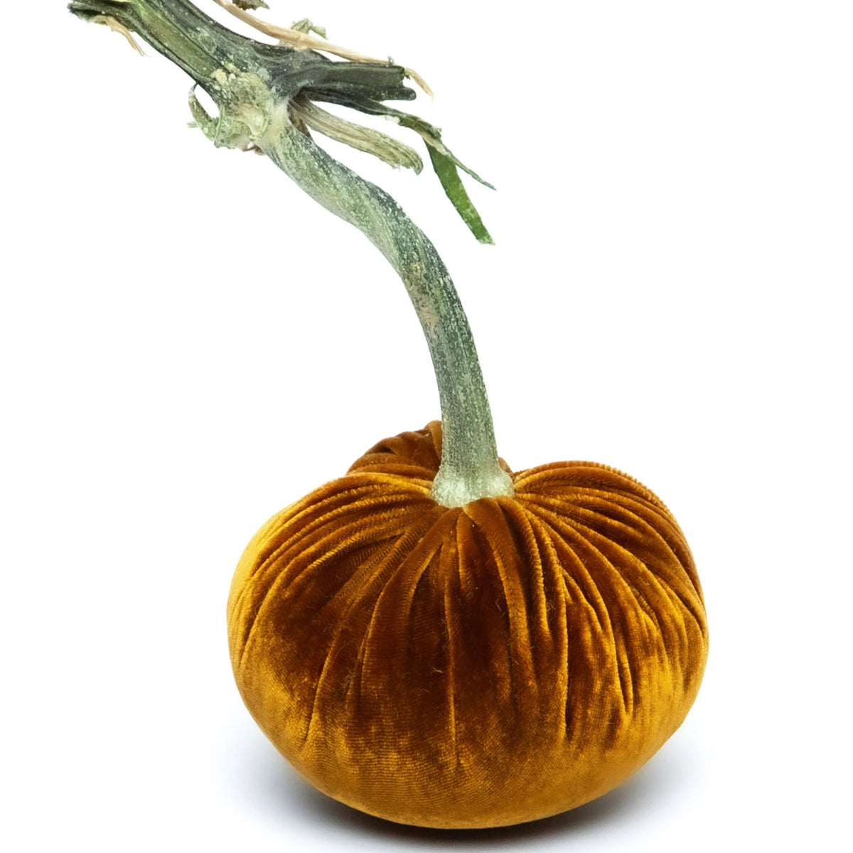 5" Velvet Pumpkin