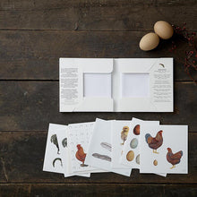Load image into Gallery viewer, Square Card Folder- Chickens 8 Cards w/ Envelopes
