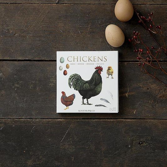 Square Card Folder- Chickens 8 Cards w/ Envelopes