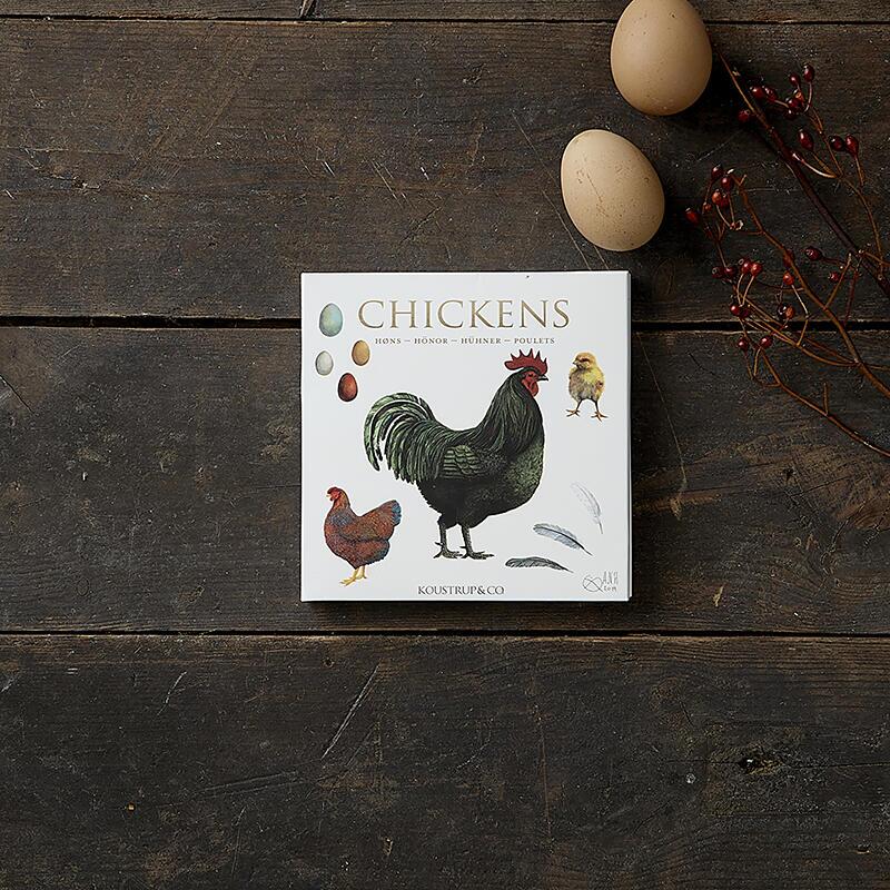 Square Card Folder- Chickens 8 Cards w/ Envelopes