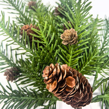 Load image into Gallery viewer, 18" Real Touch Noble Fir Pick W/ Cones
