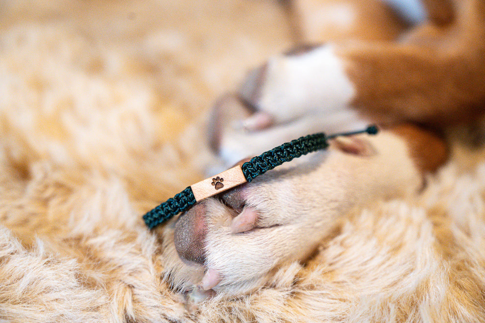Kunuku Bracelet