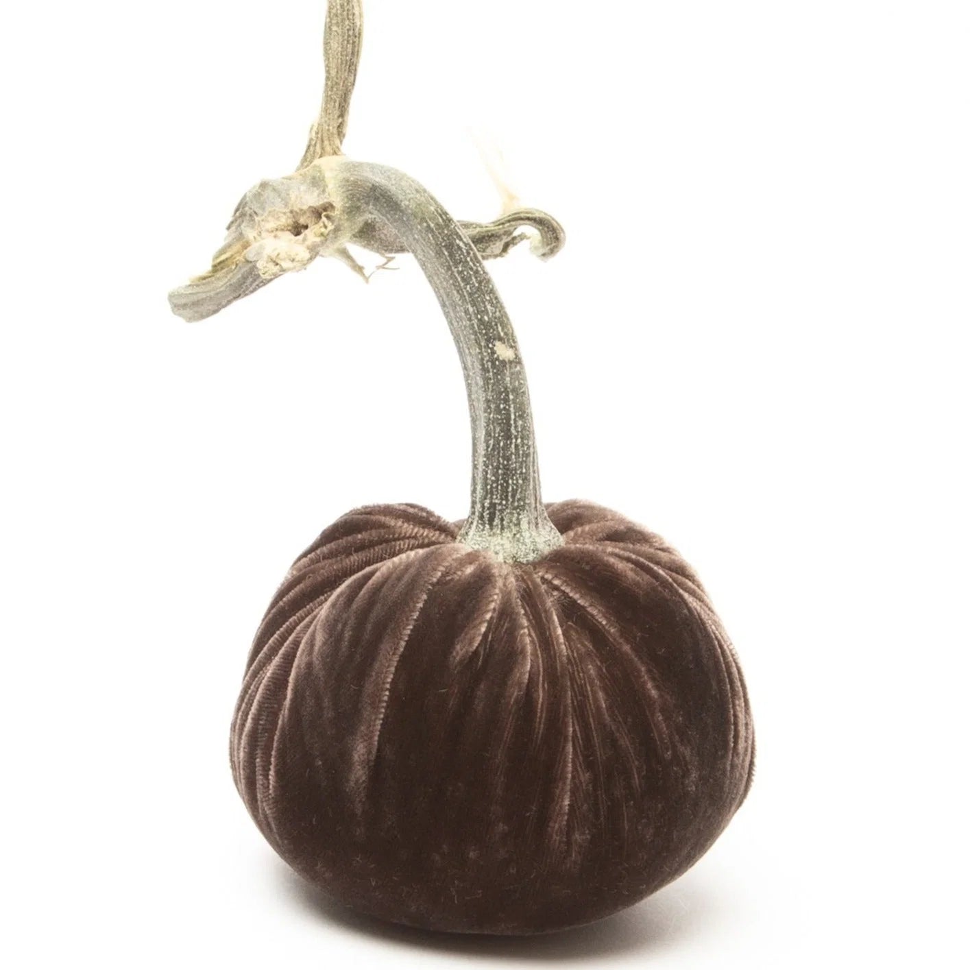 3" Velvet Pumpkin