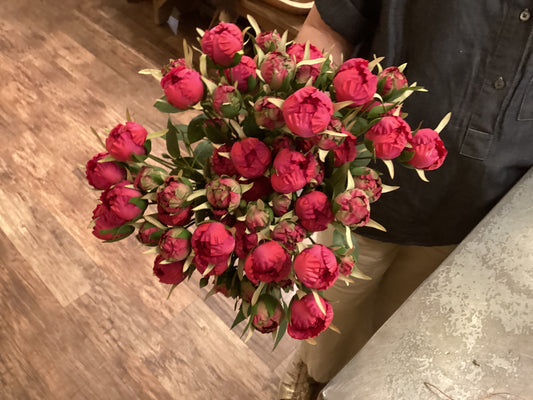 20.5" Pink Rose Spray